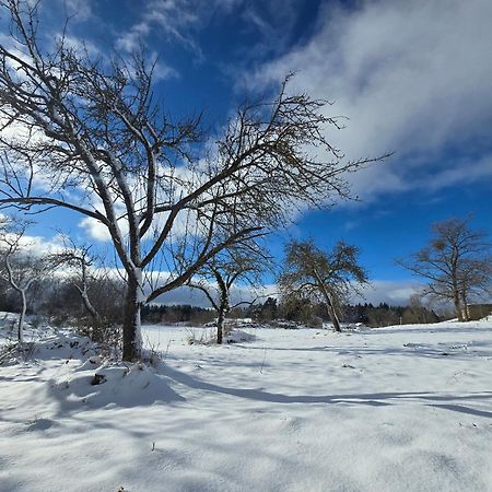 Gite La Menou Villa Usson-en-Forez Bagian luar foto