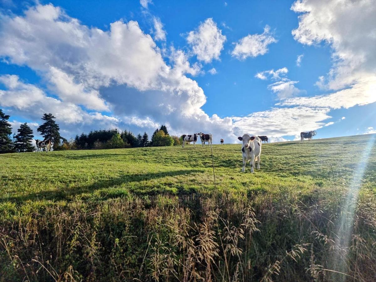 Gite La Menou Villa Usson-en-Forez Bagian luar foto