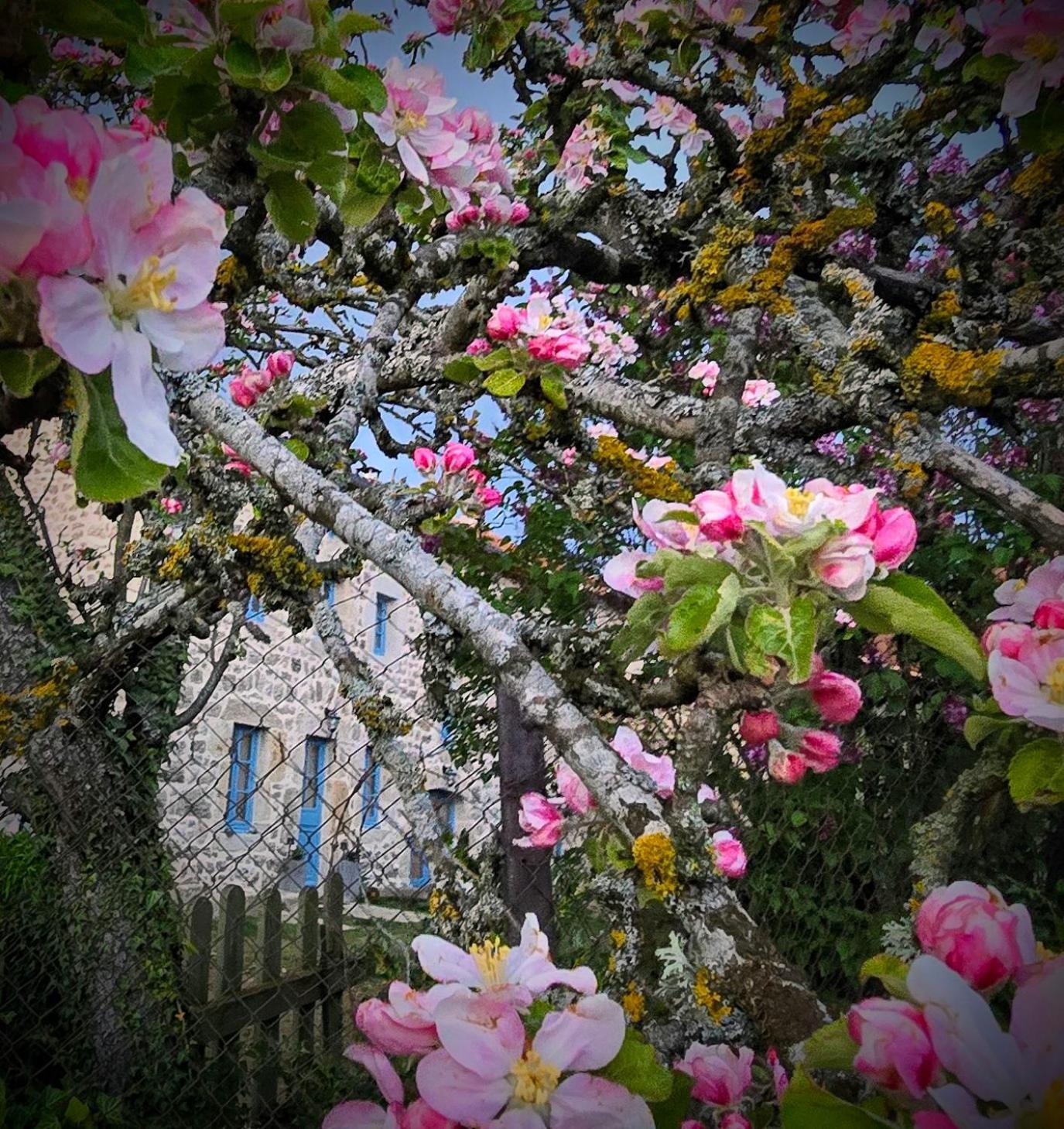 Gite La Menou Villa Usson-en-Forez Bagian luar foto