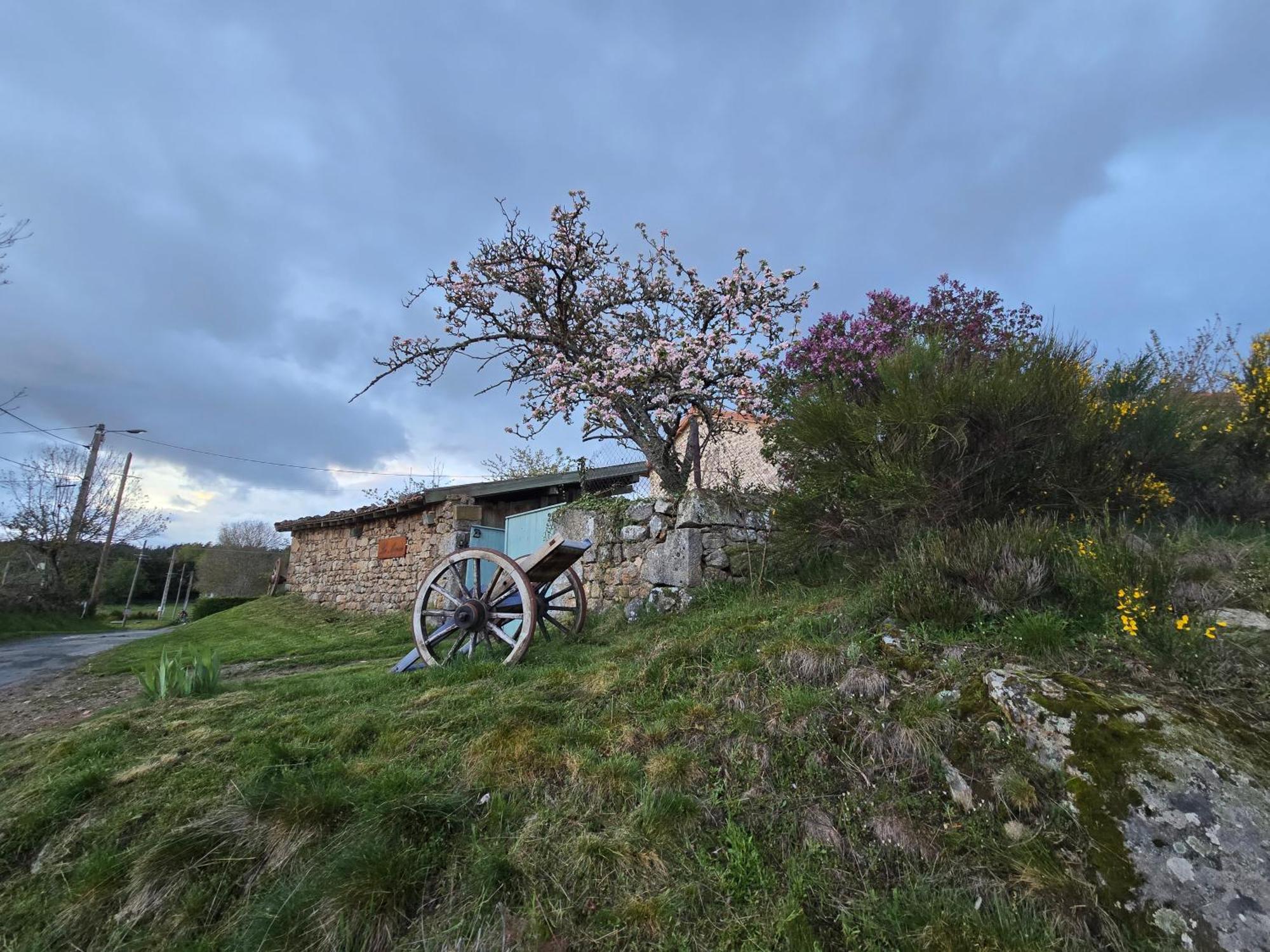 Gite La Menou Villa Usson-en-Forez Ruang foto