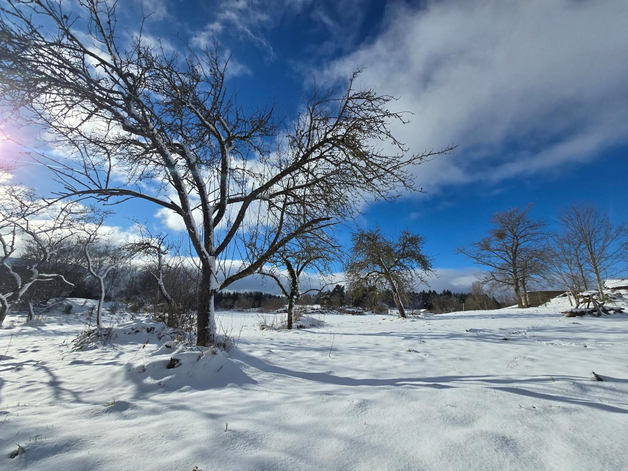 Gite La Menou Villa Usson-en-Forez Bagian luar foto